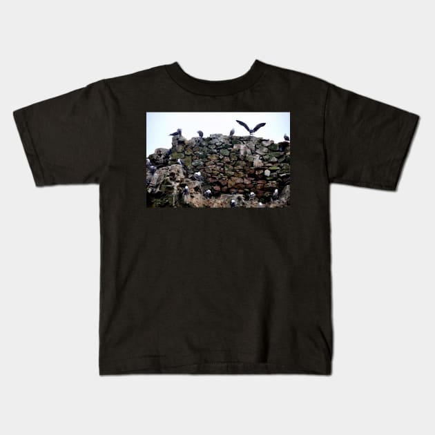 Pérou - Paracas - Les îles Ballestas, Oiseaux Kids T-Shirt by franck380